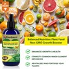 Gardenera Premium Nutritional Plant Food Spray for MANGO - Balanced