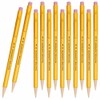 Newell Brands 12 x PaperMate Sharpwriter Mechanical Pencils with Eraser