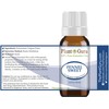 Fennel Sweet Essential Oil 10 ml 100% Pure Undiluted Therapeutic