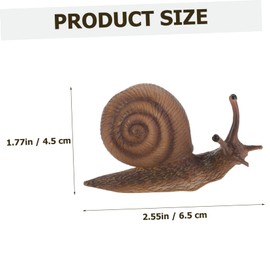 BESPORTBLE Set Snail Growth Cycle Toys Realistic Snail Educational Models Safe Fun for Boys and Girls