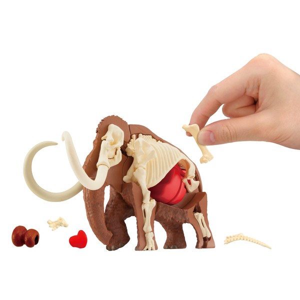 Demolition Puzzle Science Mammoth Restoration Puzzle