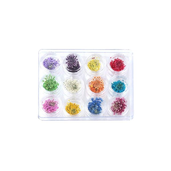 Vektenxi 12 Colours Nail Dried Flowers Nail Art Decoration DIY Tips with Case Natural Stickers Small Flowers Nails Rhinestone Manicure Decoration Stylish