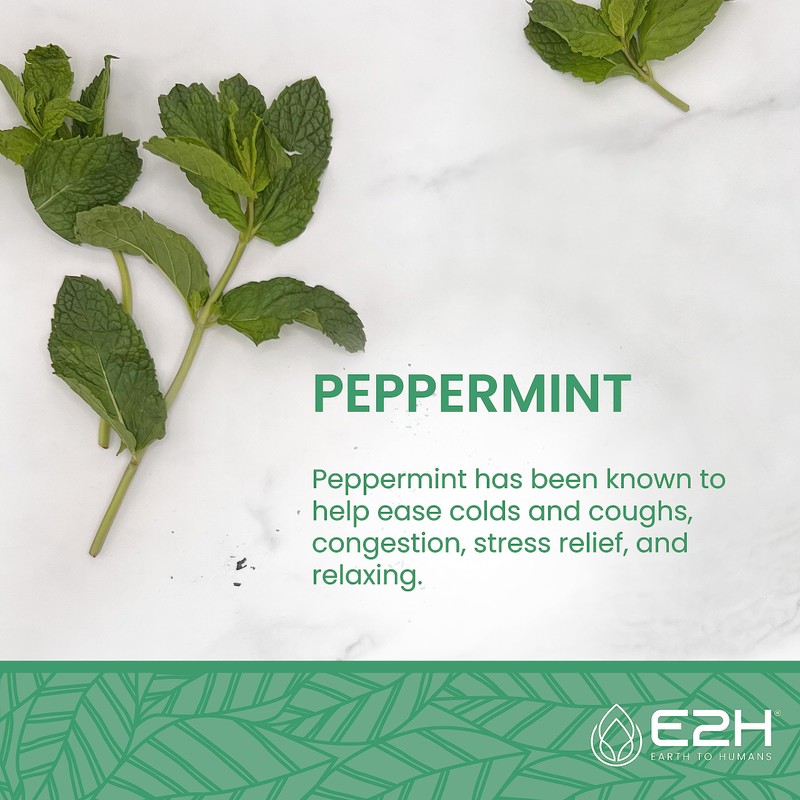 E2H Breath Bath Bomb - Peppermint Scent