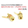 0.2 inch (4 mm) Banana Compatible Gold Plated Speaker Amplifier