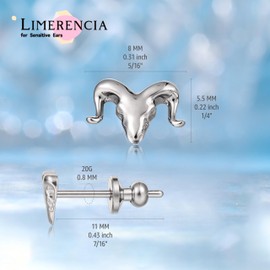 Limerencia Titanium Stud Earrings for Women, G23 Implant Quality Medical Earrings, Nickel-Free Health Plugs for Sensitive Ears, Titanium