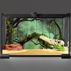 AWERT 24x16 inches Foggy Forest Terrarium Background Stone Green Tree Tropical Reptile Habitat Background Rainforest Aquarium Background Durable Polyester Background