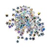 Stargazer Loose Glitter Stars Eyeshadow Makeup Face Body Hair Nails
