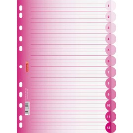 Brunnen 106659523 File Dividers Colour Code Ring Binders/Folders, Polypropylene, A4, 12 Tabs Pink