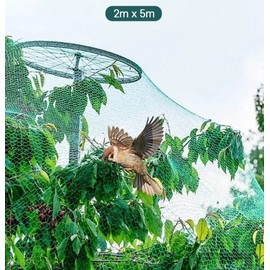 Bird Netting: Crop & Orchard Protection, Sparrow & Pigeon Safety Net (4x5M, 4x10M) x 10M 2ea
