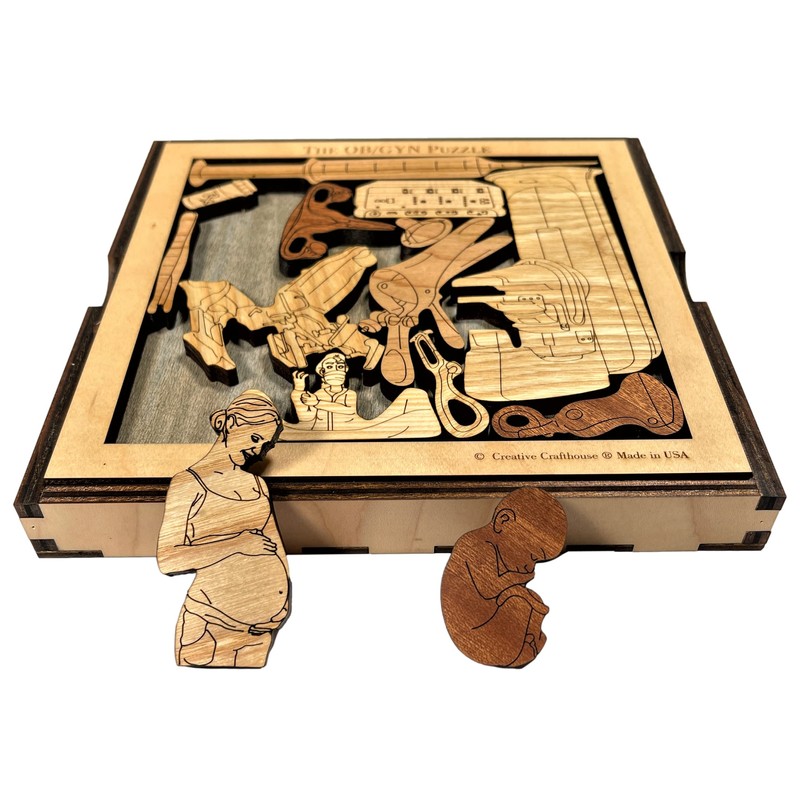 The OB/GYN Obstetrics and Gynecology Puzzle