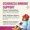 Celestial Seasonings Sleepytime Wellness Echinacea Immune Boost, Caffeine Free, 20