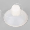 Yuehuam Artificial Aquarium Fishes, 4PCS in The Dark Luminous Silicone