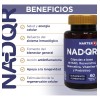 NAD+ Resveratrol, Vitamina C, Quercetina y Prebióticos 60 cápsulas 550mg