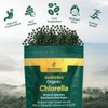 Biogenesis Organic Chlorella Mini Tablets – 300 Count (200mg) |