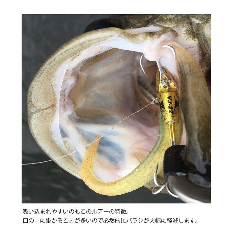 Coreman VJ-22 Vibration Jig Head #054 Gold Head / Hirame