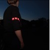 Prophete Bright Reflector Band with 4 LED - Multi-Colour