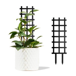 Metal Ladder Indoor Plant Trellis,14.96 inch for Climbing Plants Indoor