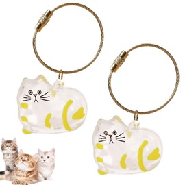 HBBDYLMY Cat Hair Storage Keychain – Memorial Gift for Pet Lovers, Transparent Cat Hair Storage Bottle Pendant, Pet Memorial Jewelry (A)
