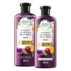 HERBAL ESSENCES Bio:Renew, Passion Flower & Rice Milk, Shampoo 400