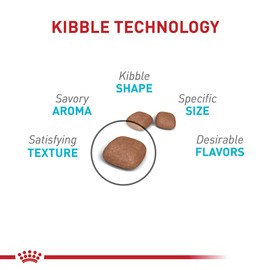 Royal Canin Feline Care Nutrition Urinary Care Adult Dry Cat Food, 6 lb Bag