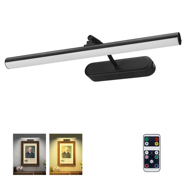 RAIFOOLLY Picture Light,3AA Battery Wall Lights,Wireles