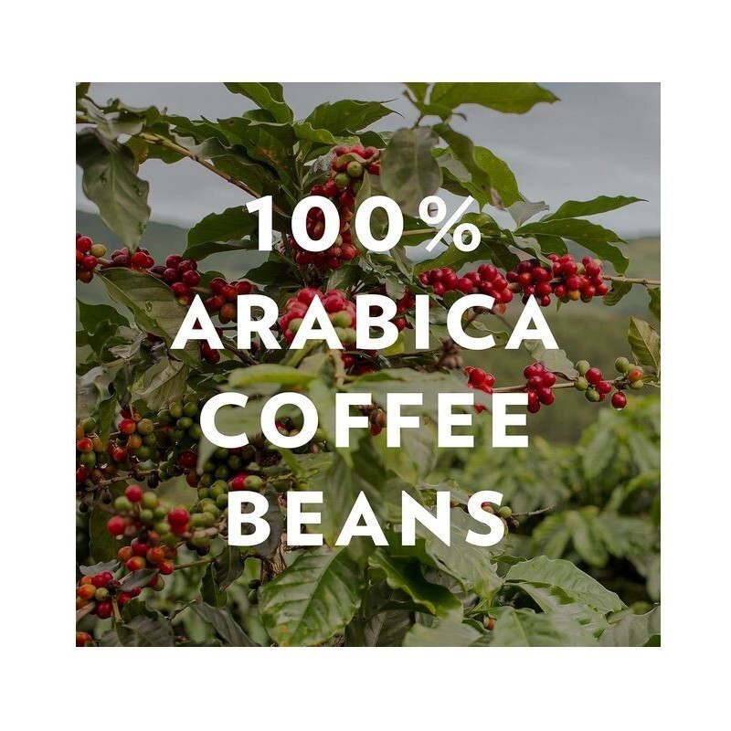 Community Coffee Premium Ground Coffee, French Vanilla Flavored, Medium Roast,