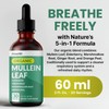 5-in-1 Mullein Drops for Lungs and Bronchial - Respiratory Lung