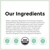 Rebel Green Laundry Detergent, Organic and Sulfate Free Hypoallergenic Laundry