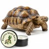 Tortoise Oinment Shell Conditioner Cream – Shell Care Balm Moisturizer