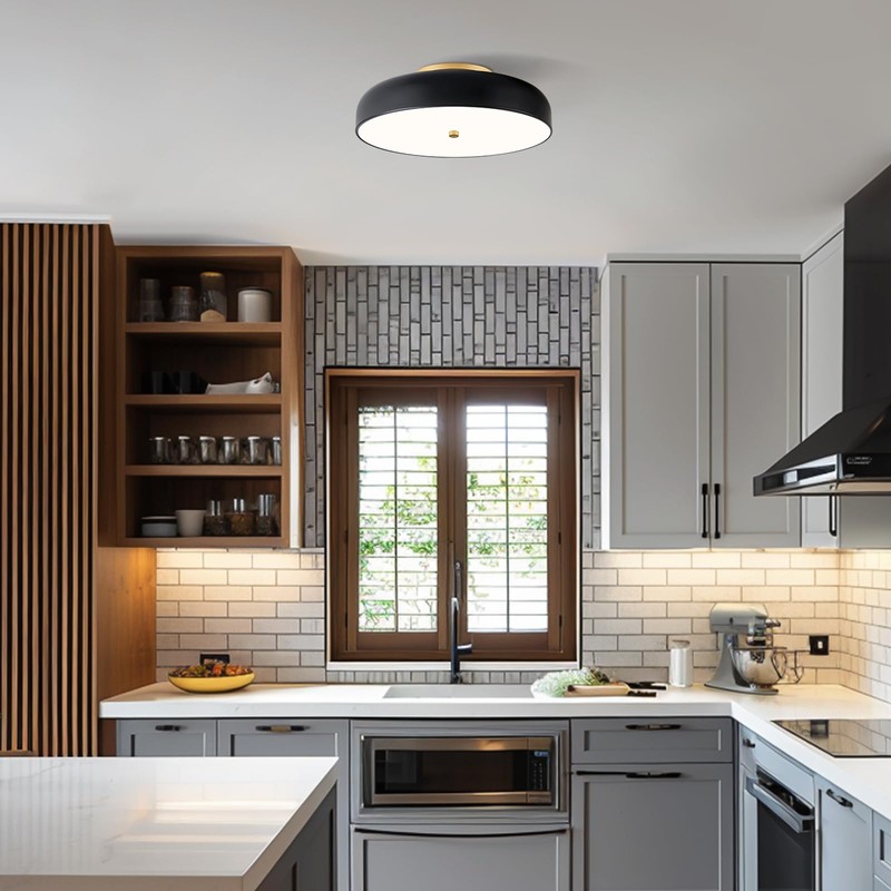 ZUYURT Modern Flush Mount Ceiling Light, Dimmable Black Light Fixture,