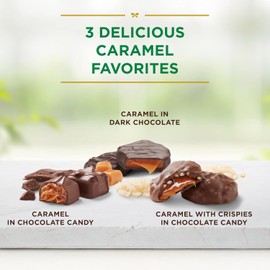 Russell Stover Sugar-Free Assorted Caramels in Chocolate, 15.3oz - Milk & Dark Chocolate, No Sugar Added
