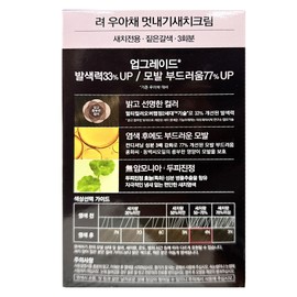 Ryo Uachae Stylish Gray Hair Cream 4N Dark Brown 3 servings Gray Hair Dye / 려 우아채 멋내기 새치크림 4N짙은갈색 3회분 새치염색약