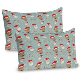 Ambesonne Christmas Pillow Sham Set of 2, Santa Claus and His Deer Celebrating Your Holiday Vintage Cartoon on Snowflakes, Quality Microfiber Bedding Item for All Seasons, 26" x 20", Pale Seafoam