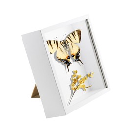 TENGYIF 3D Picture Frame for Filling, 3D Picture Frame, Deep 20 x 20 cm, Object Frame with Transparent Acrylic Glass, Deep Frame for Objects up to 5 cm, 3D Frame, White for Wall Hanging or Desktop