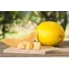 Does Not Apply Canary Melon Seeds Cucumis melo Non-GMO, Shipped