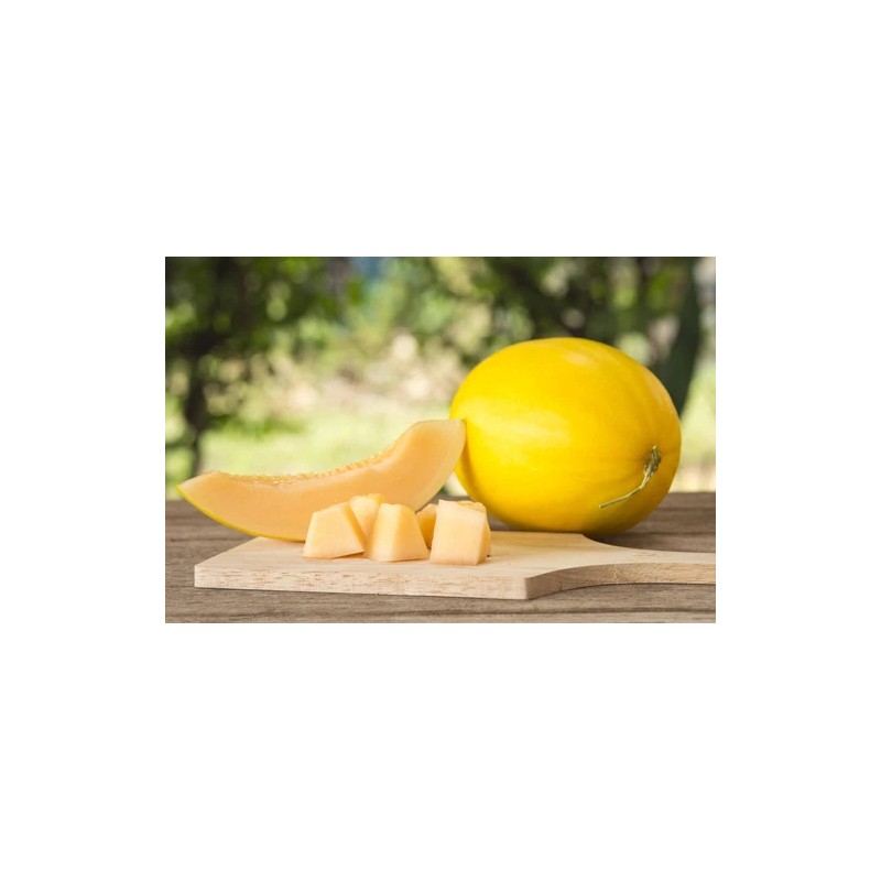 Does Not Apply Canary Melon Seeds Cucumis melo Non-GMO, Shipped