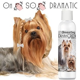 The Blissful Dog Drama Queen Luxury Dog Shampoo – Silky Dog Shampoo