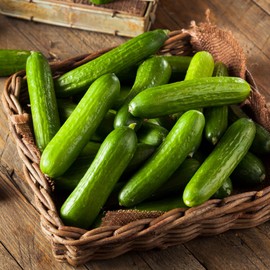 Straight Eight Cucumber Seeds for Planting - Over 90 Heirloom Seeds – Non-GMO Vegetable Seeds for Planting Outdoors or Indoors – Woods Creek Seeds