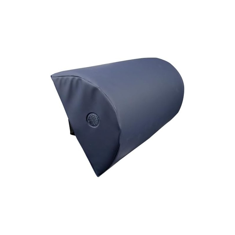 ICUS Cojín Lumbar con Memory Foam, Soporte para Espalda, Corrector