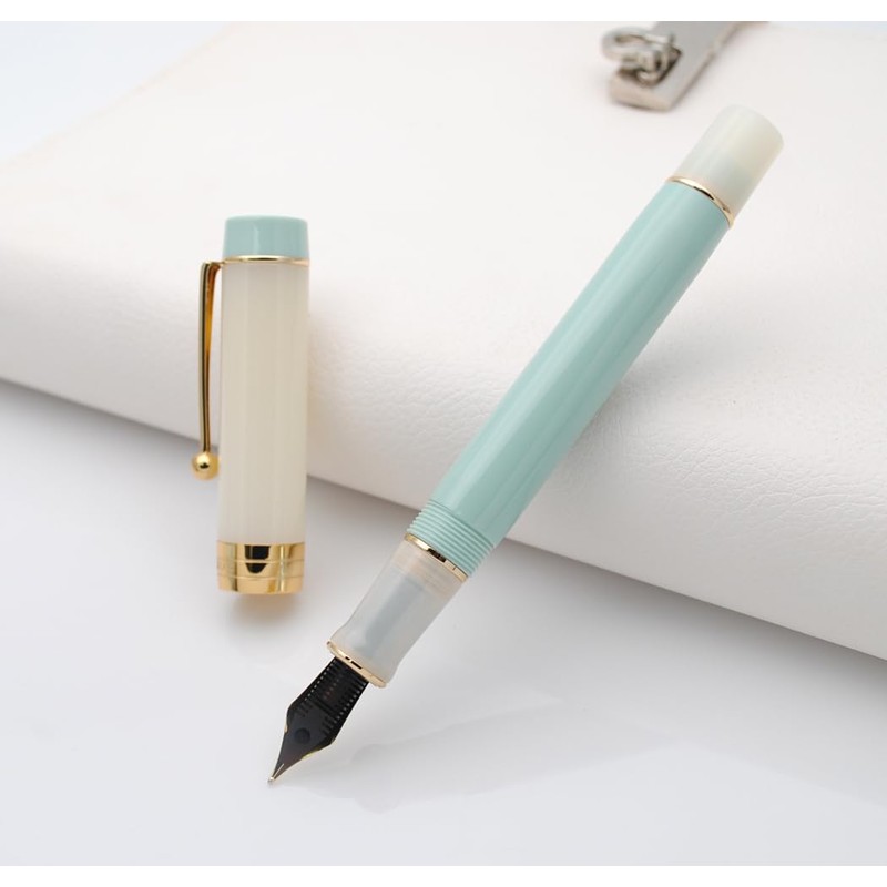 JINHAO 100 Fountain Pen with Ink Converter (Medium Nib 0.7mm,