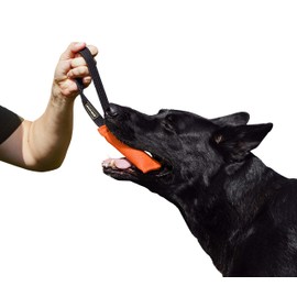 DINGO GEAR Nylcot Bite Tug for Dog Training K9 IGP & Fun, 1 Handle, Orange 15 x 5 cm
