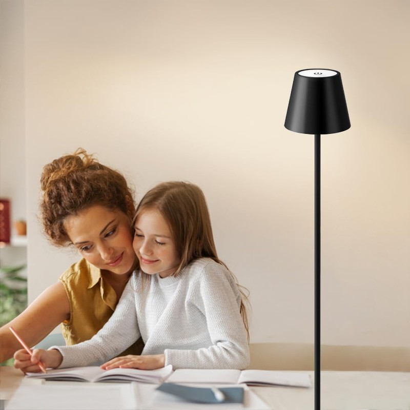 2Pack Cordless LED Floor Lamp,3 Color Touch Control Rechargeable Lamp,Stepless