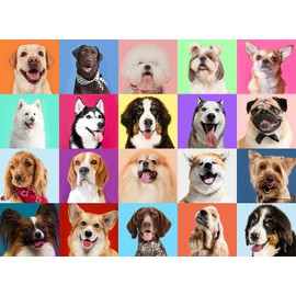 Puzzles for Kids Ages 6-8 Cute Dogs - Multicolor Dogs, 200 Piece Puzzles for Kids Ages 8-10 Year Old Learning Educational Jigsaw Puzzles for Kid Age 6 7 8 9 10 Year Old Toys Dog Gifts