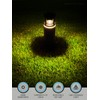 LEONLITE LED Low Voltage Pathway Lights, Unique Light Pattern, Landscape