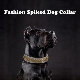 Red Spike Dog Collar for Medium Dogs, Faux Leather Retro Bronze Dog Spiked Collars Mushrooms Rivet Studded Spiky Stud Anti-Bite Protective Neck for Small Medium Large Breed Boy Pet Male Dogs, M