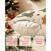 Christmas Pillow Covers (2, Forest Gingerbread, 18×18)