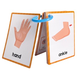 Body Parts English Flash Cards - English Pocket Card Body Parts Flash Card - Preschool Learning Flashcard Educational Words Flashcard for Children