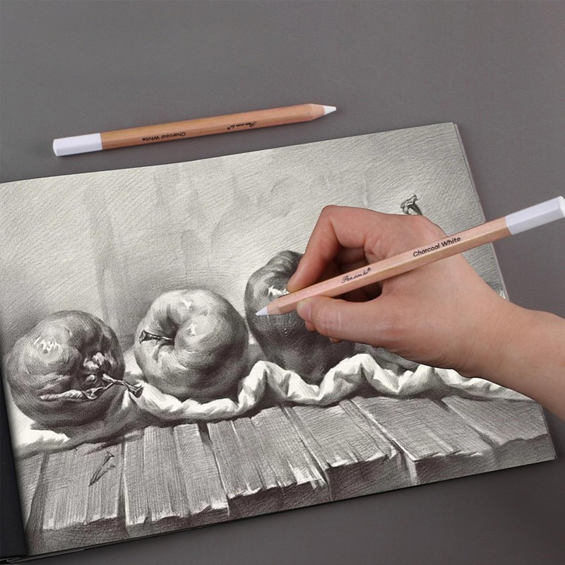 Omeblos White Charcoal Pencil, Charcoal Pencils Set, 2Pcs Sketch Highlight