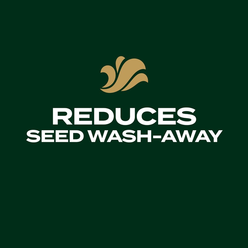 Scotts EZ Seed Patch & Repair Southern Gold Blend for
