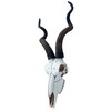 Top Brass 14 1/2" African Kudu Antelope Skull - Wall